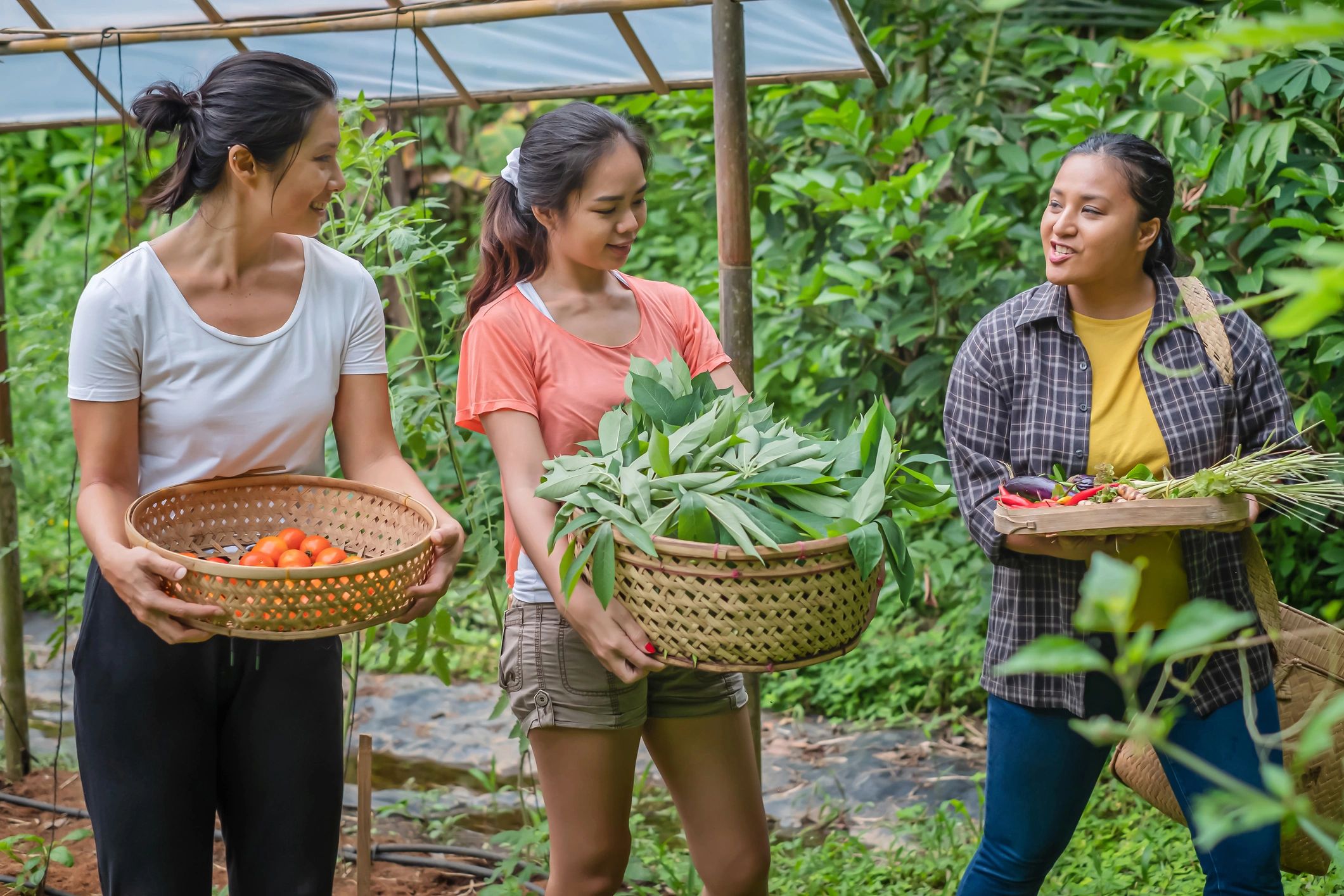 Farm workers harvesting vegetables and carrying baskets