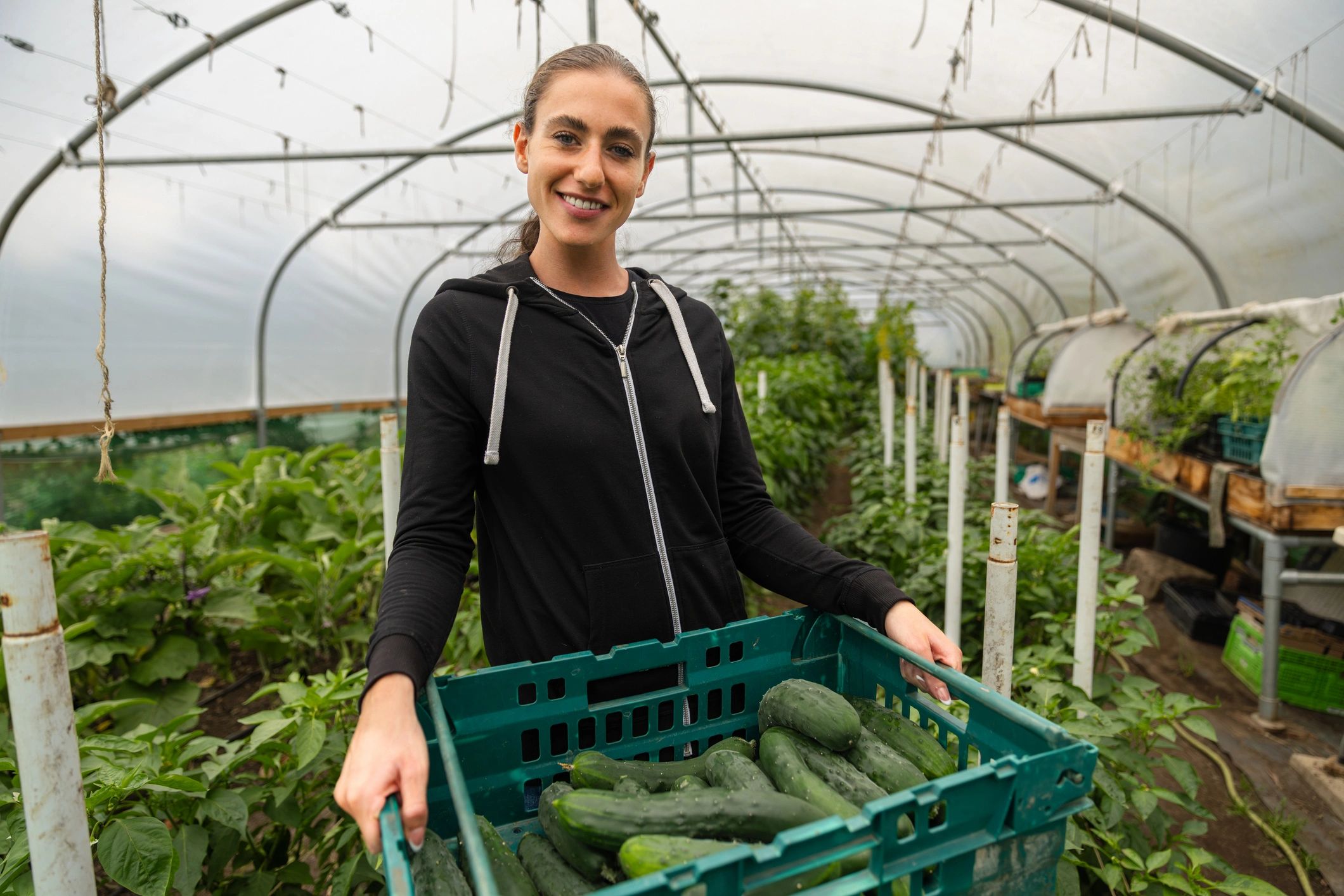 Person holding a crate of produce in a greenhouse